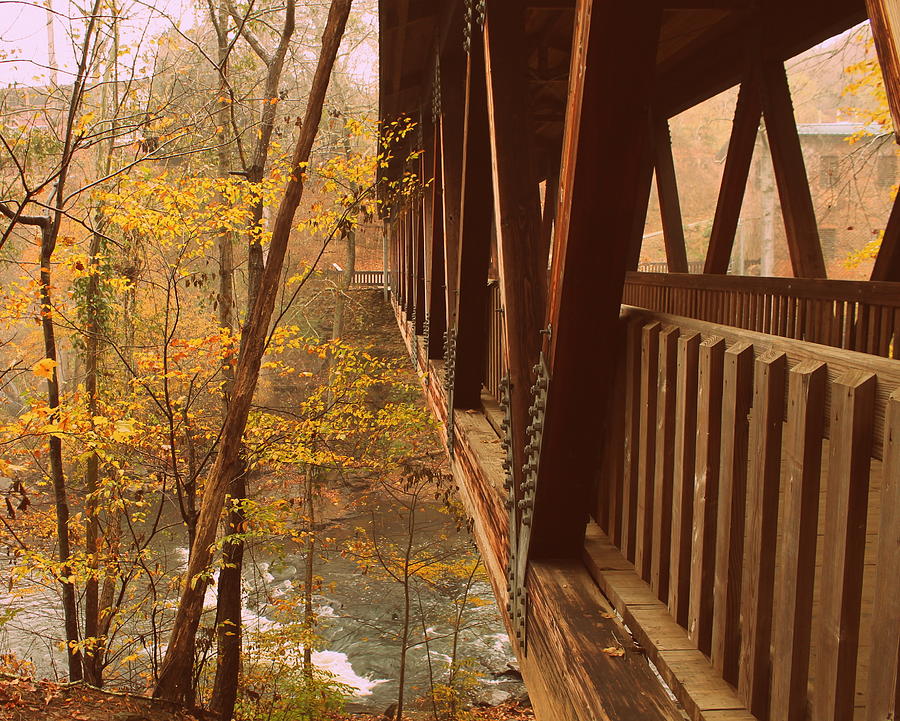 Vickery Creek Trail Photograph by Esther Hernandez - Fine Art America