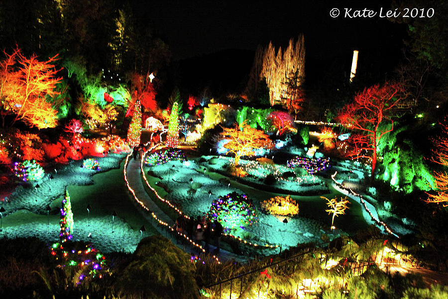 Victoria Christmas Lights Photograph by Kate Leikin Fine Art America