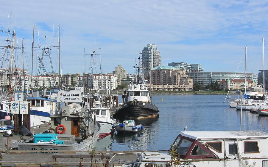 Victoria harbor Photograph by Janremi B - Pixels