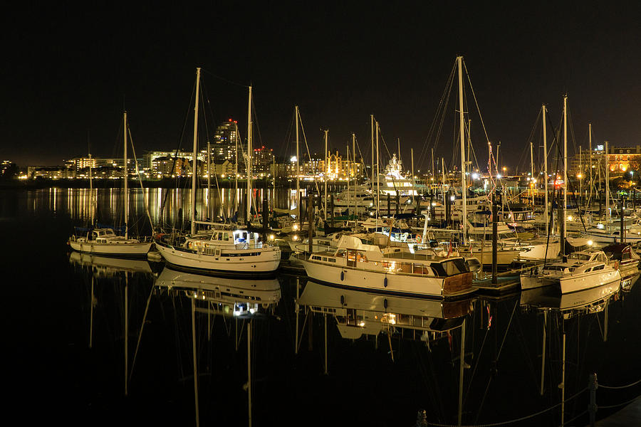 Victoria Harbour at Night Photograph by Inge Riis McDonald