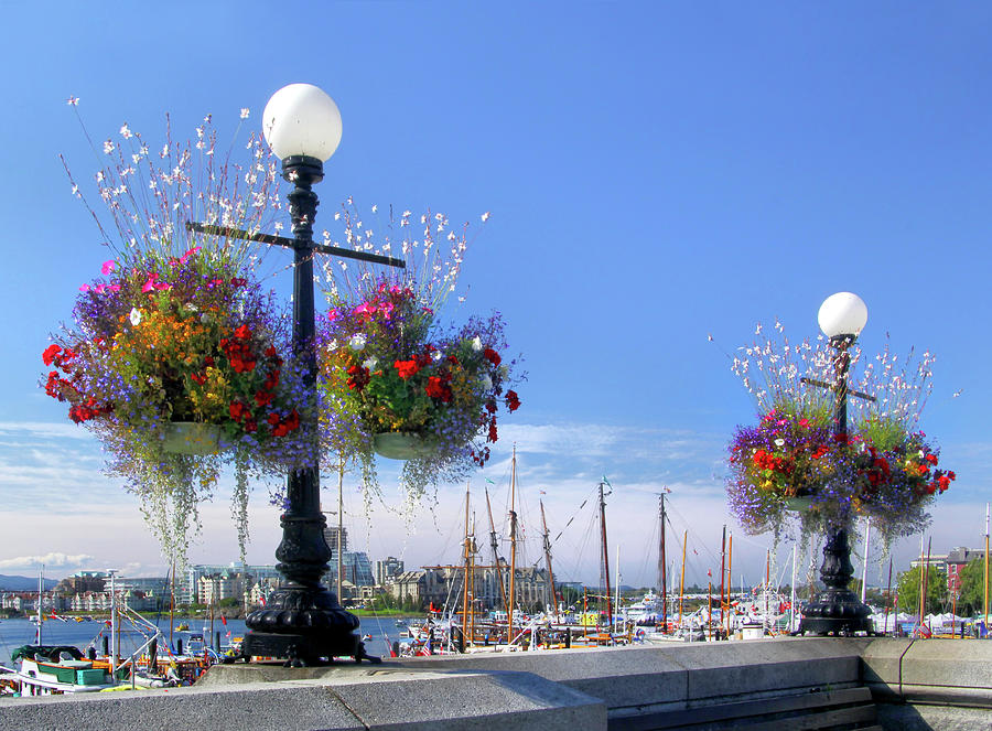 Flower Photograph - Victoria Waterfront View by Carolyn Derstine