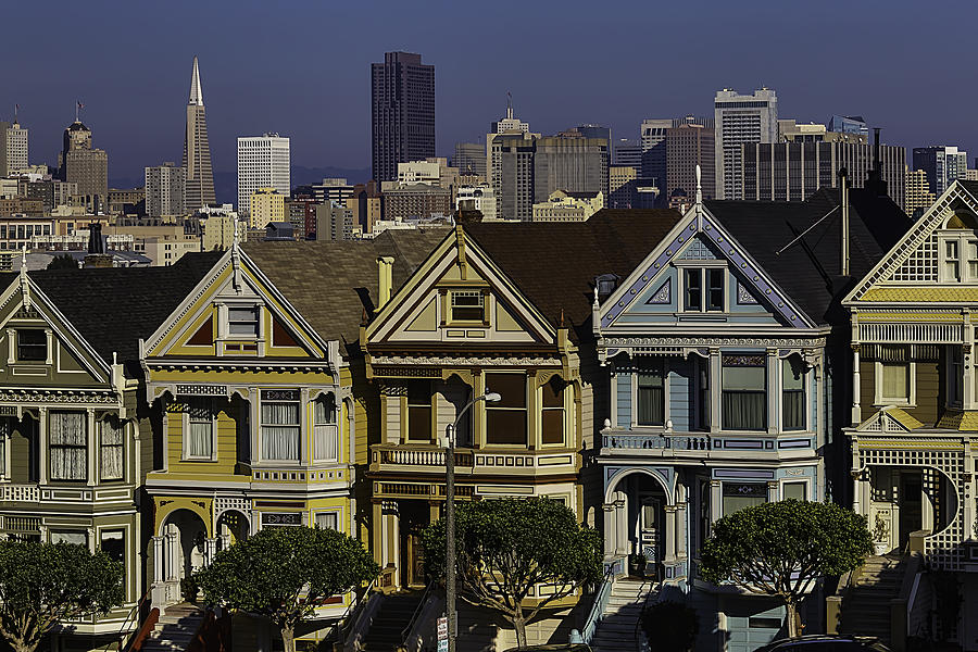 Victorian Painted Ladies Photograph by Garry Gay