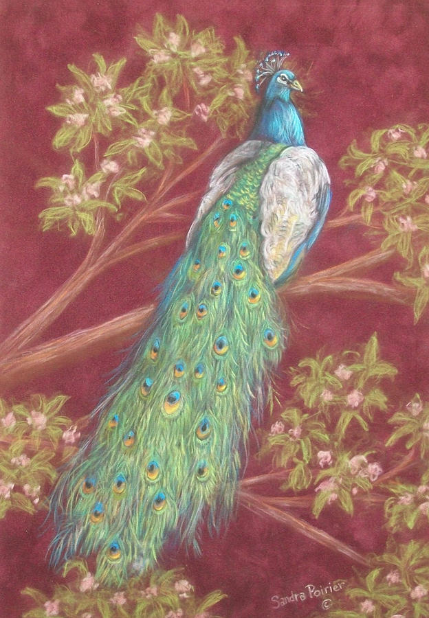 Victorian Peacock Painting