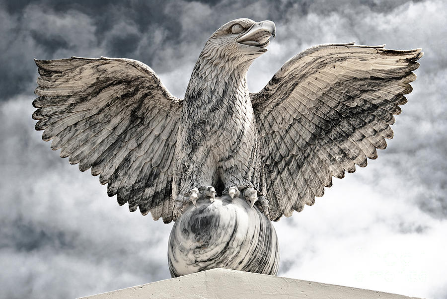 Victorious Eagle of Marble Photograph by Yurix Sardinelly