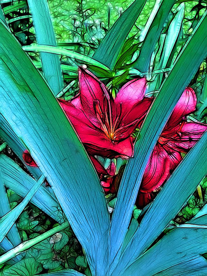 Lily Photograph - Victory Garden by Nick Heap