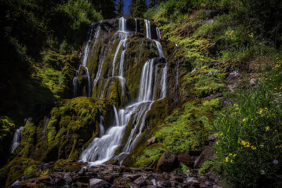Nature Photograph - Vidae Falls by Cat Connor