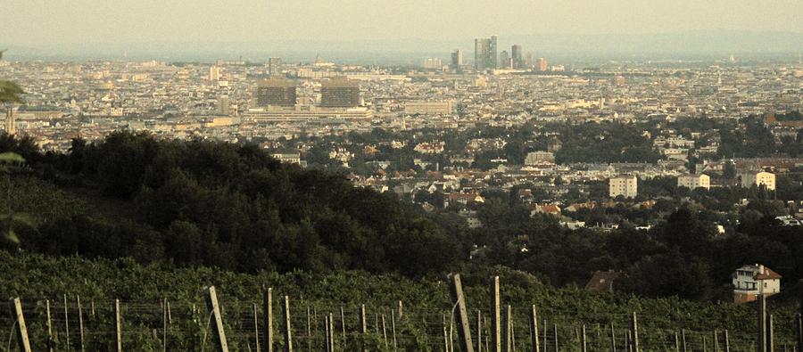 Wine Photograph - Vienna From The Vineyard by Ian  MacDonald