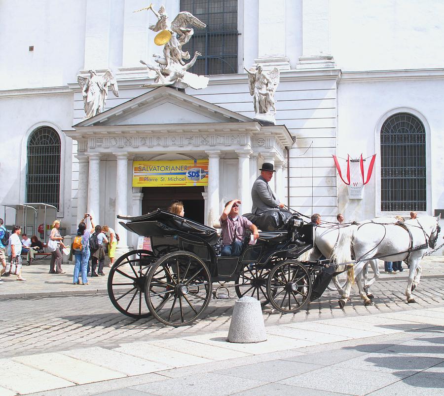 Horse Photograph - Vienna Horse and Carriage by Ian  MacDonald