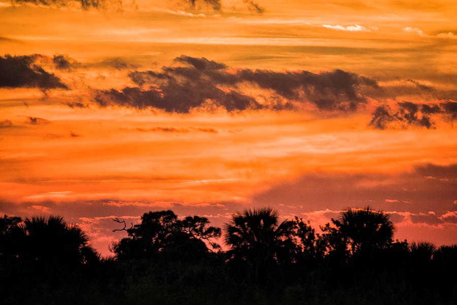 Viera Sunset Photograph by Fran Gallogly
