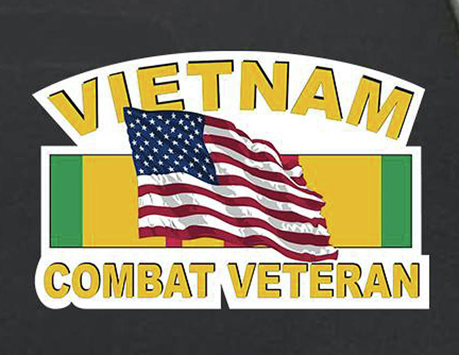 Vietnam Combat Veteran Painting by Herb Strobino