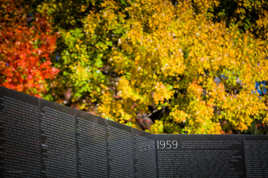 Vietnam Wall Autumn Photograph by Ross Henton