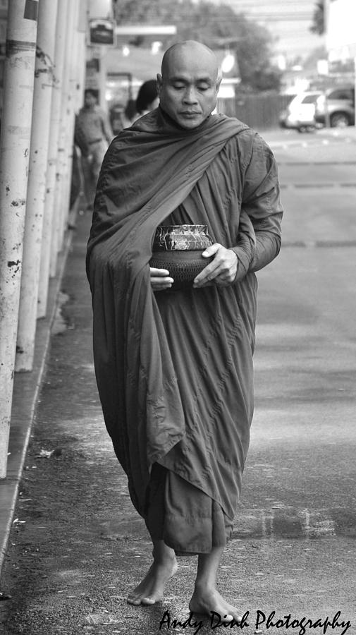 Vietnamese Buddhist Monk Photograph by Andrew Dinh