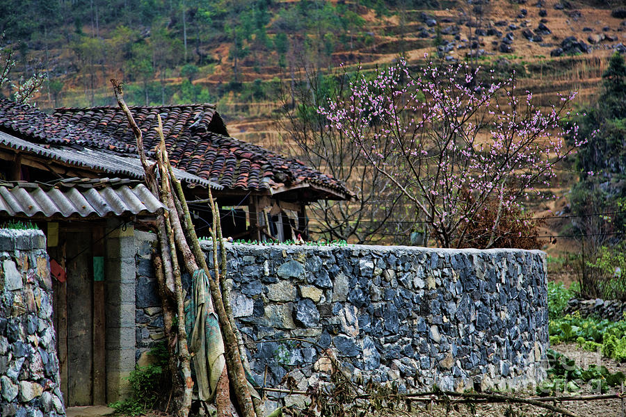 Vietnamese Home in Ha Giang  Photograph by Chuck Kuhn