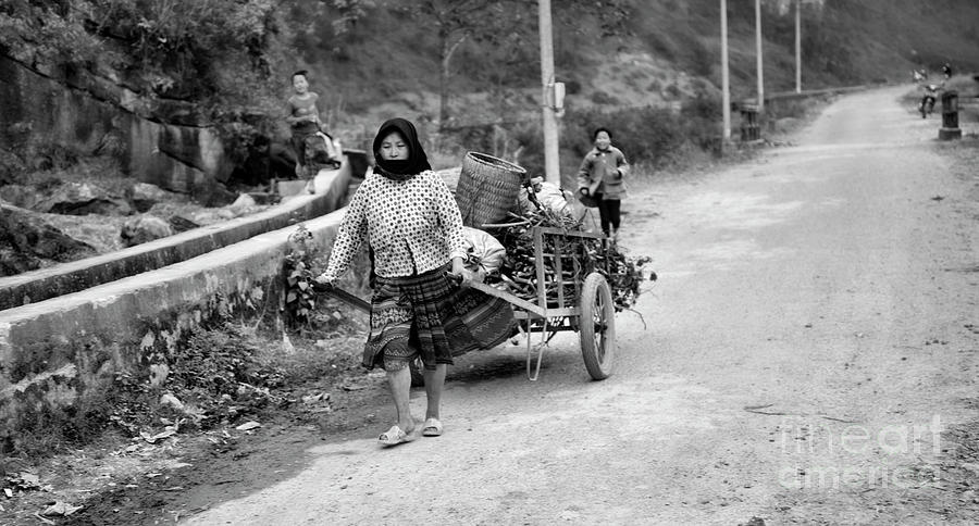 Vietnamese Woman BW Cart  Photograph by Chuck Kuhn