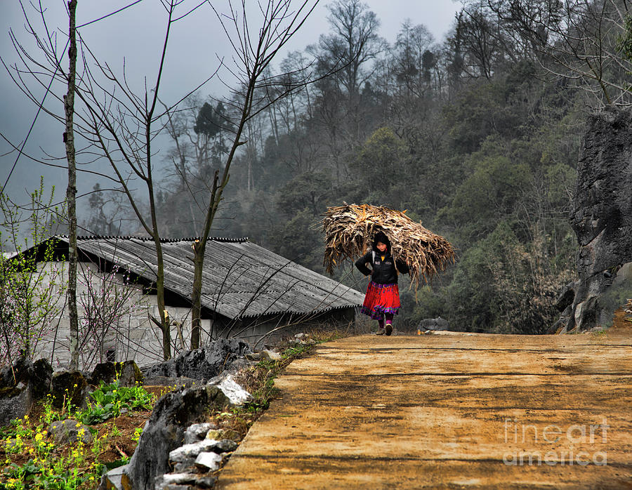 Vietnamese Woman Carrying Harvest  Photograph by Chuck Kuhn