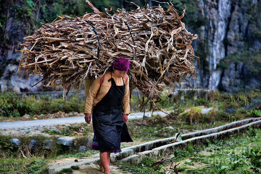 Vietnamese Woman Work Load  Photograph by Chuck Kuhn