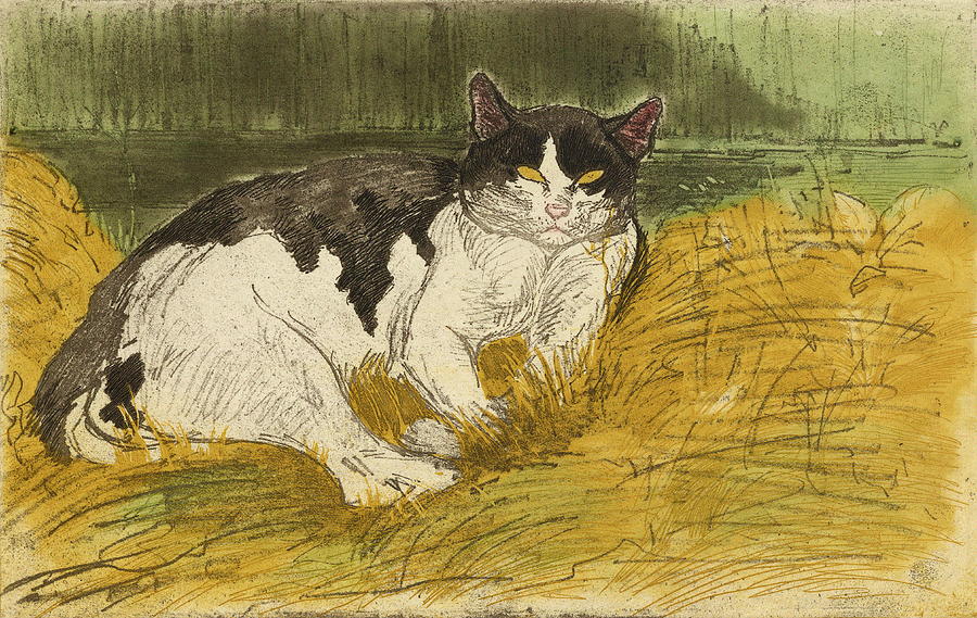 Vieux Chat Noir Et Blanc Dans Lherbe by Theophile Alexandre Steinlen