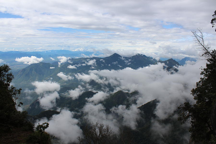 View above the Clouds, Kodaikanal Photograph by Jennifer Mazzucco