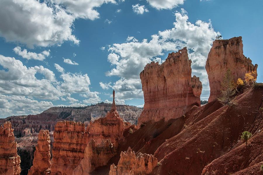 VIew Along Navajo Queens Garden Trails Loop by NaturesPix VIew Along Navajo Queens Garden Trails Loop by NaturesPix