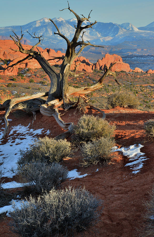 View along Park Road in Arches National Park Photograph by Ray Mathis