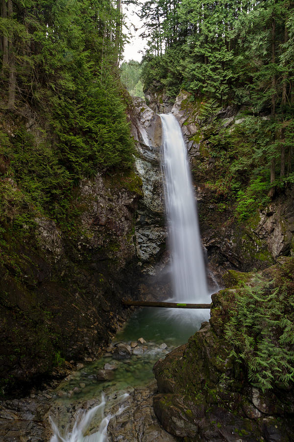 View at Cascade Falls Photograph by Michael Russell