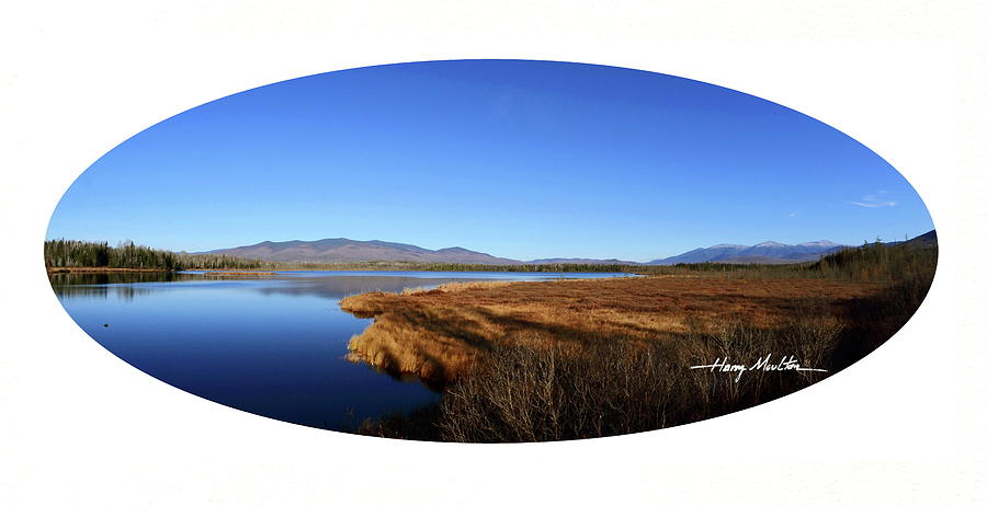 View at Cherry Pond Photograph by Harry Moulton