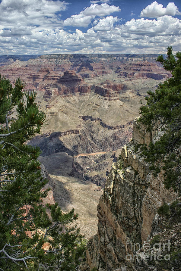 View at Grand Canyon Photograph by Patricia Hofmeester