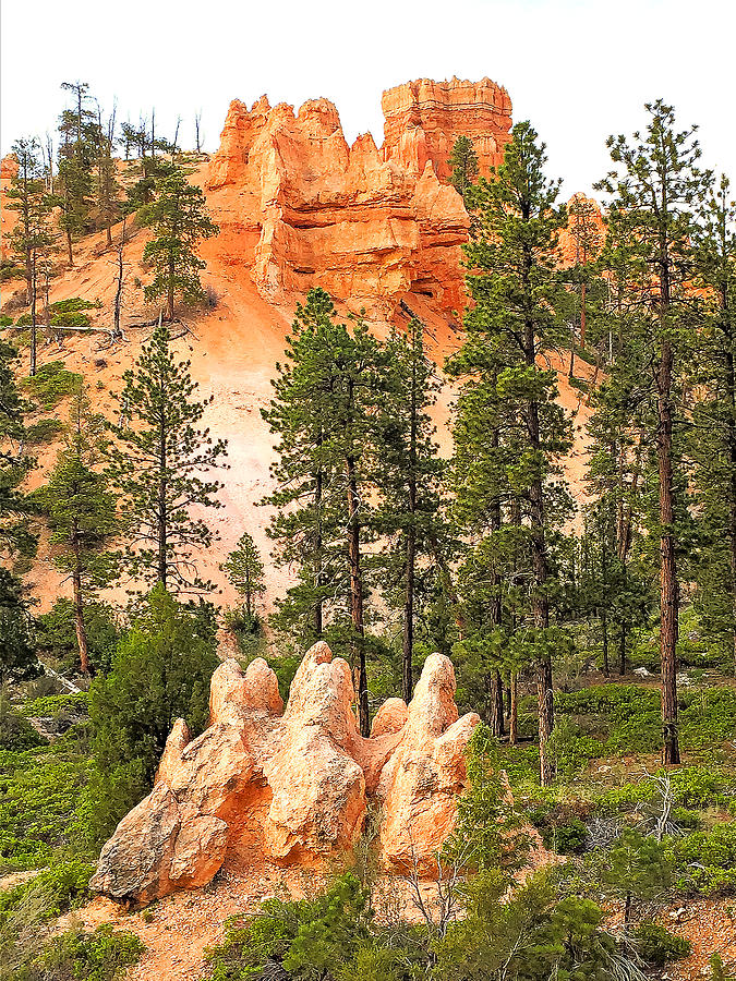 View from a Bryce Canyon Trail Photograph by Robert Meyers-Lussier