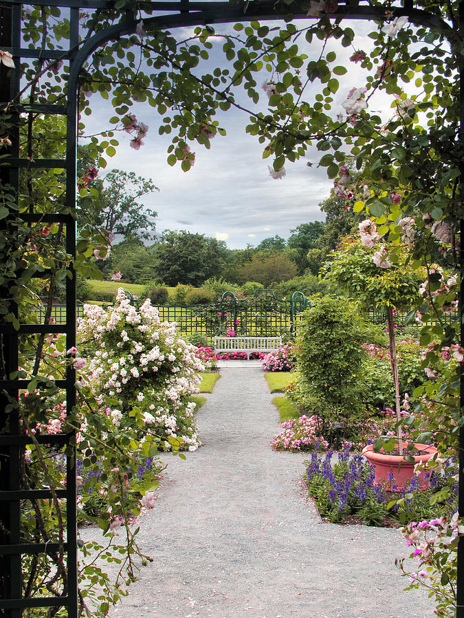 View from a Pergola Photograph by Jessica Jenney