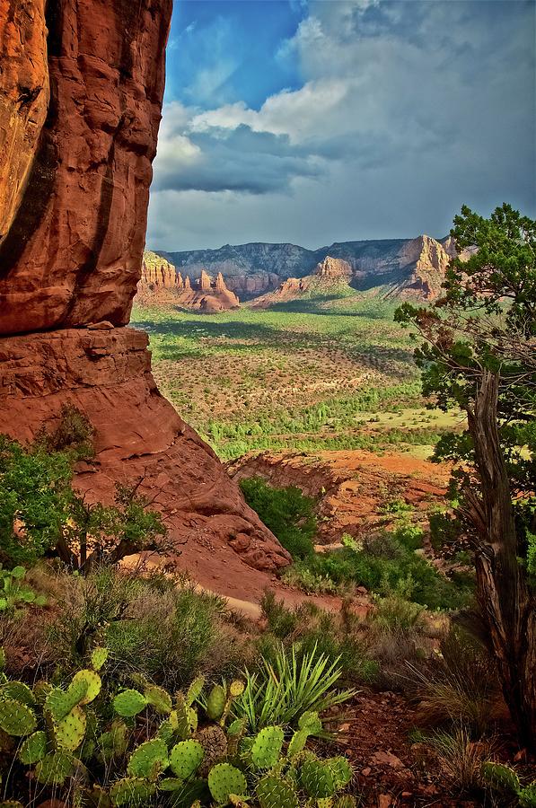 Nature Photograph - View From A Vortex, Cathedral Rock, Sedona, Arizona by Zayne Diamond