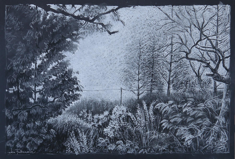 View From Behind Nundle Caravan Park, Nsw Drawing