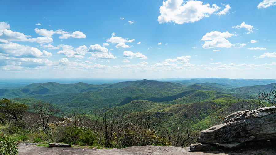 View from Blood Mountain Georgia Photograph by Lawrence S Richardson Jr