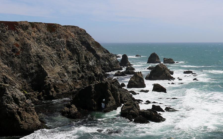 View from Bodega Head in Bodega Bay CA - 5 Photograph by Christy Pooschke