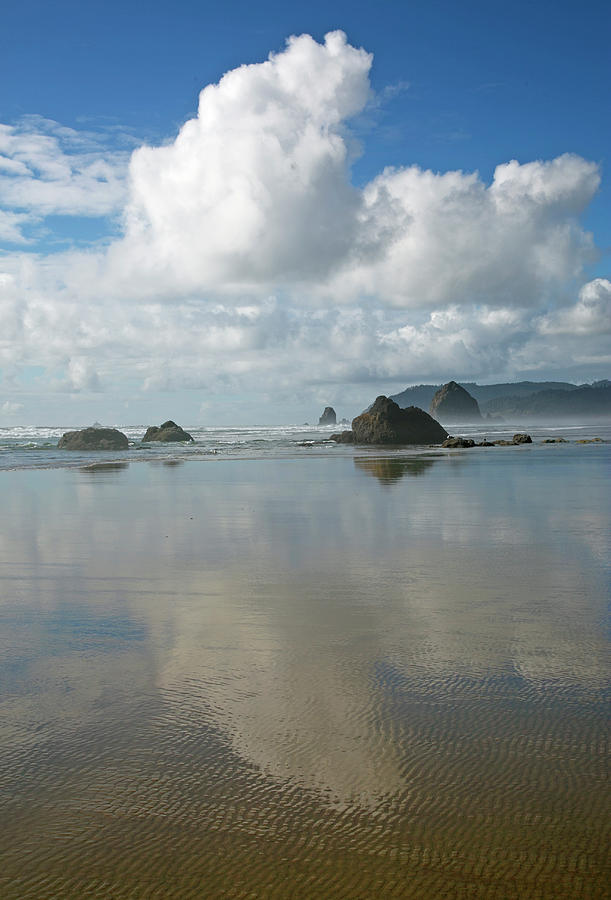 View from Cannon Beach Photograph by Elvira Butler