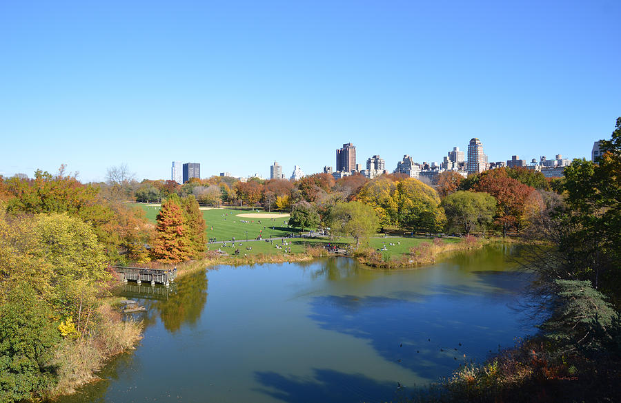 View From Central Park NY Mixed Media by Trish Tritz