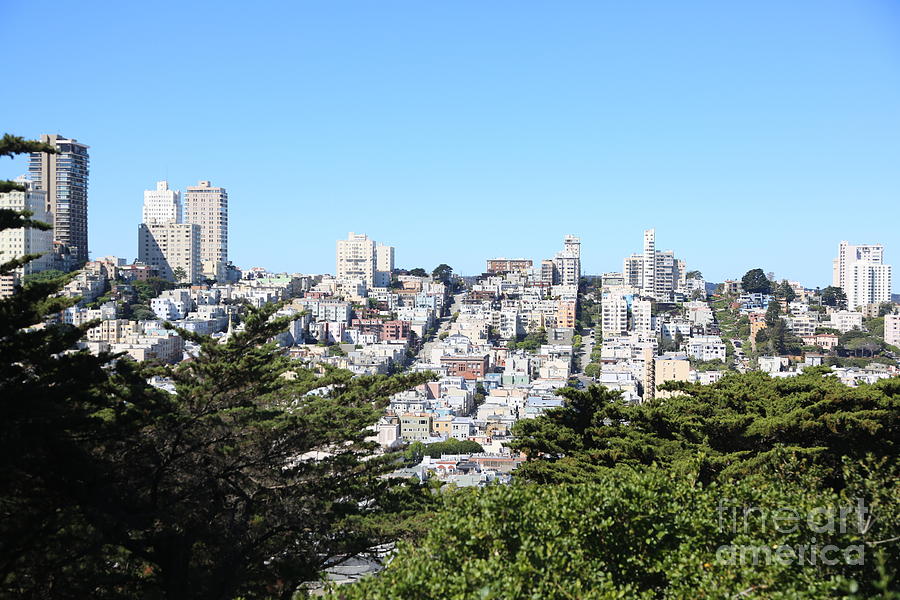 View from Coit Tower SF Photograph by Chuck Kuhn