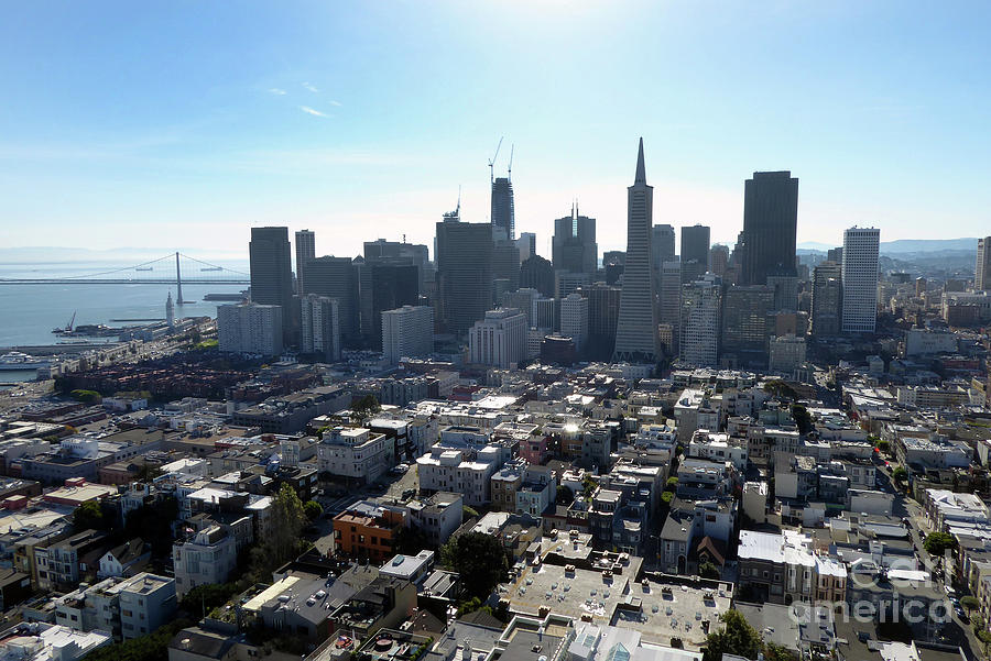 View from Coit Tower Photograph by Steven Spak