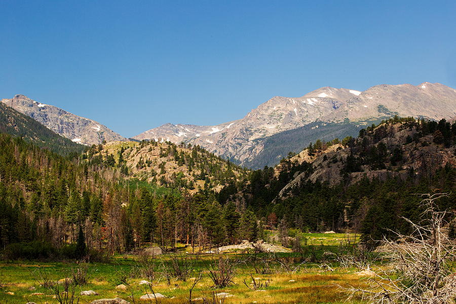 View from Cub Lake Trail Photograph by Amanda Kiplinger - Fine Art America