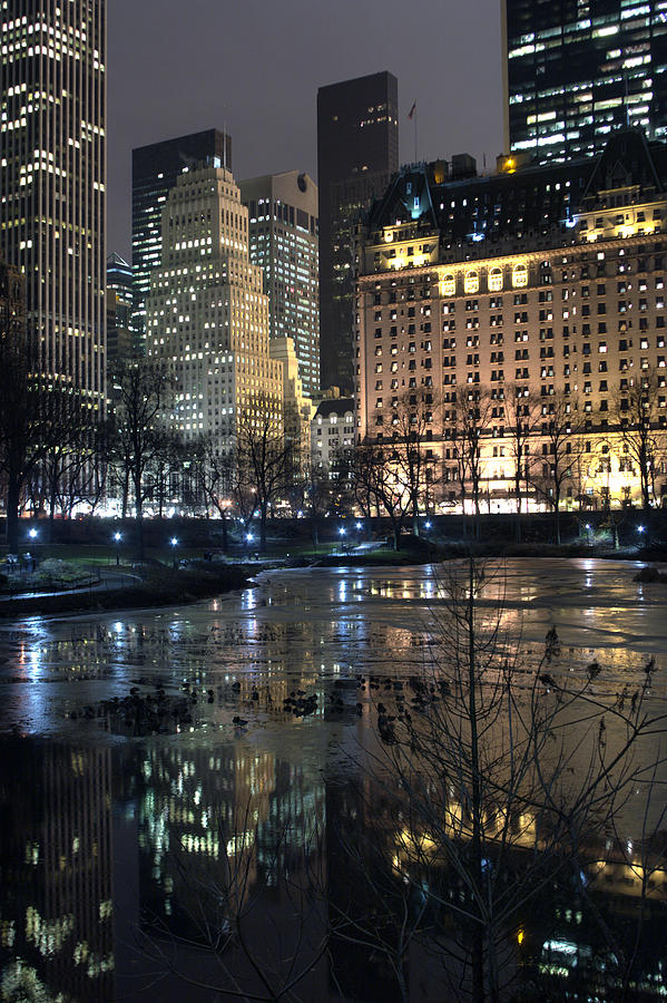 Central Park Photograph - View from Gapstow Bridge by Dave Beckerman