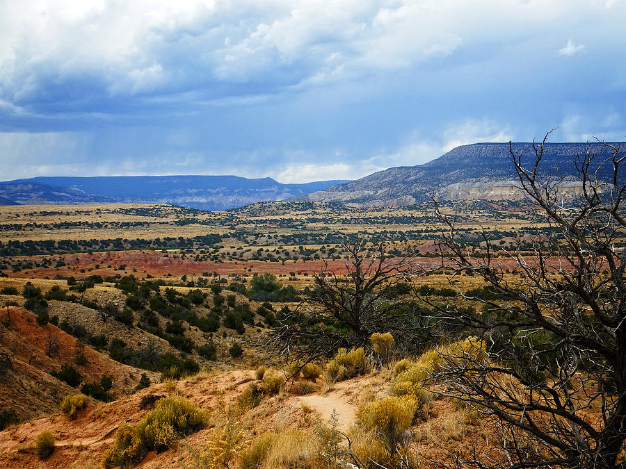 Desert Photograph - View from Ghost Ranch, NM by Kurt Van Wagner