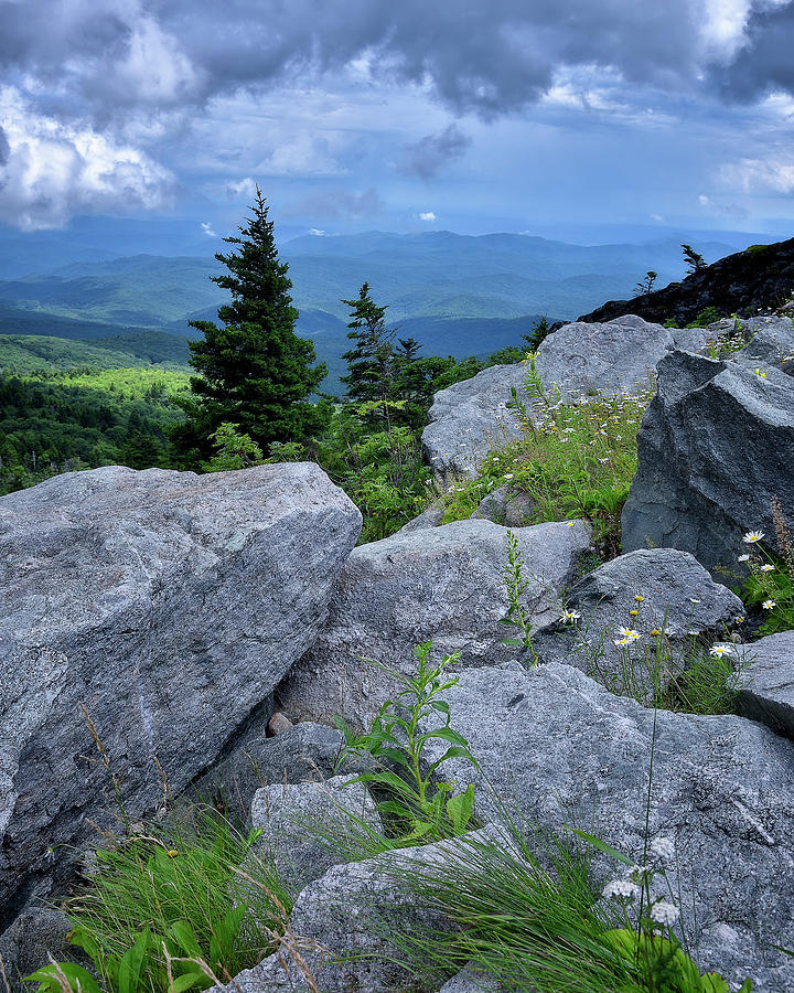 View from Grandfather Mtn NC Photograph by Steve Hurt