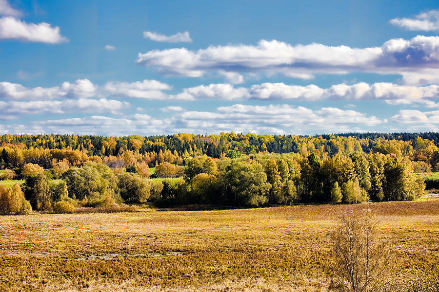 Fall Photograph - View from grongarn by Leif Sohlman