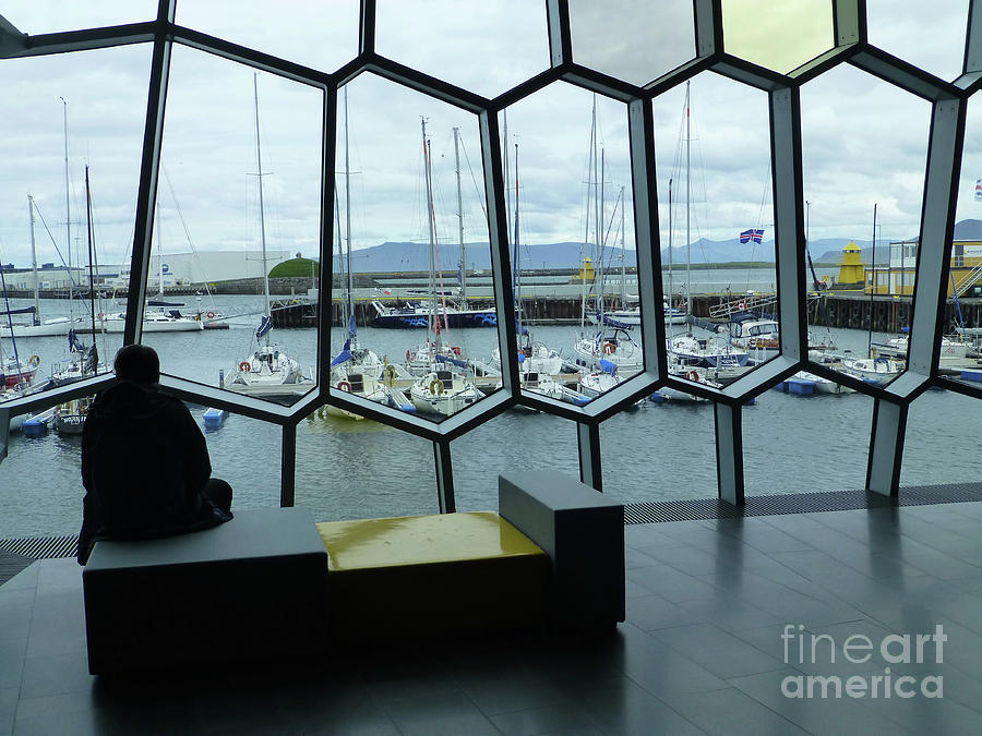 View from Harpa Photograph by Maxine Kamin
