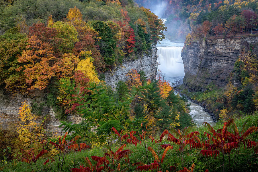 Inspiration Point at Letchworth State Park Photograph by Robert Powell ...