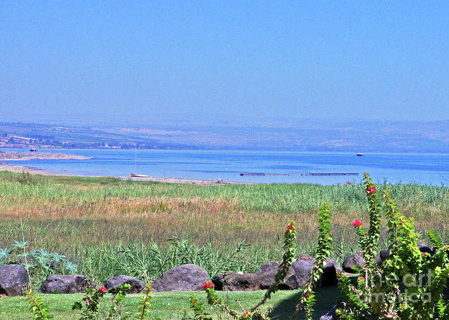 View From Kibbutz Ginosar 2 Photograph by Lydia Holly