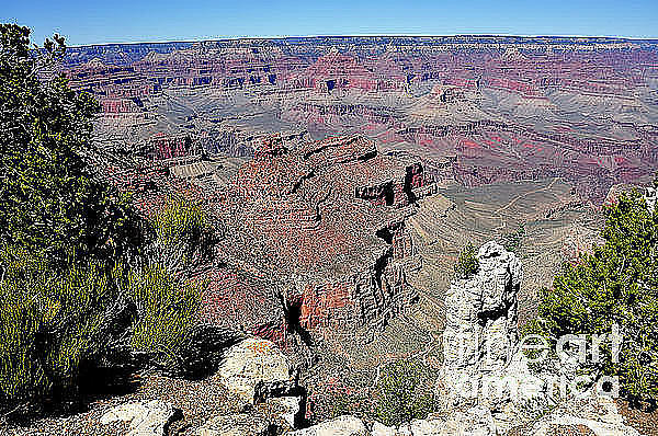 View from Lipan Point Photograph by Thomas R Fletcher
