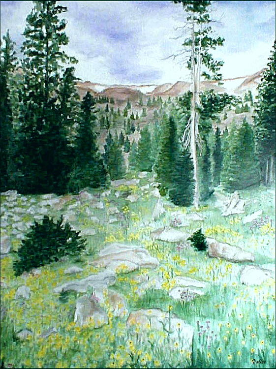 View from Lost Lake Painting by Vallee Johnson