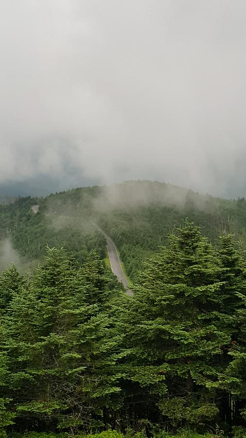 View from Mount Mitchell Photograph by William Slider