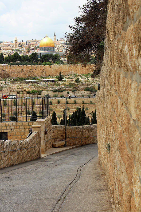View from Mount of Olives Photograph by Munir Alawi