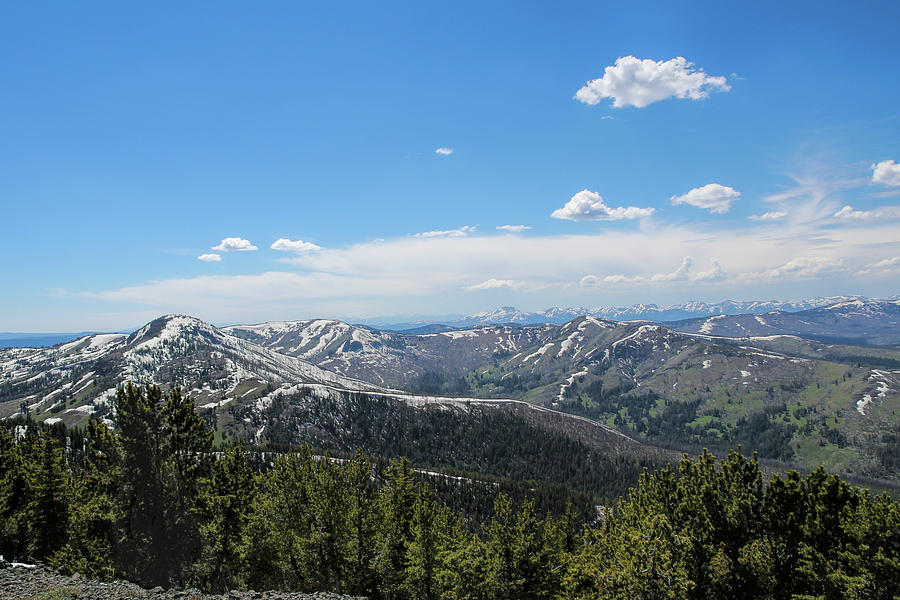 View from Mount Washburn Photograph by Jemmy Archer